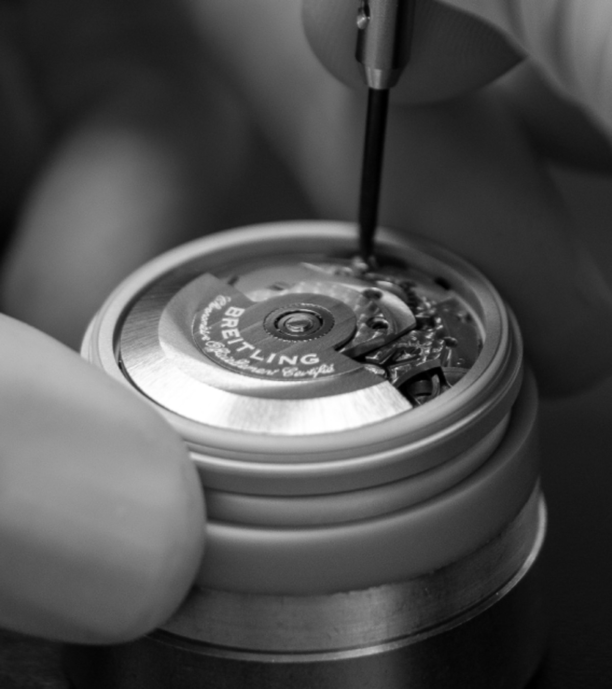 our services