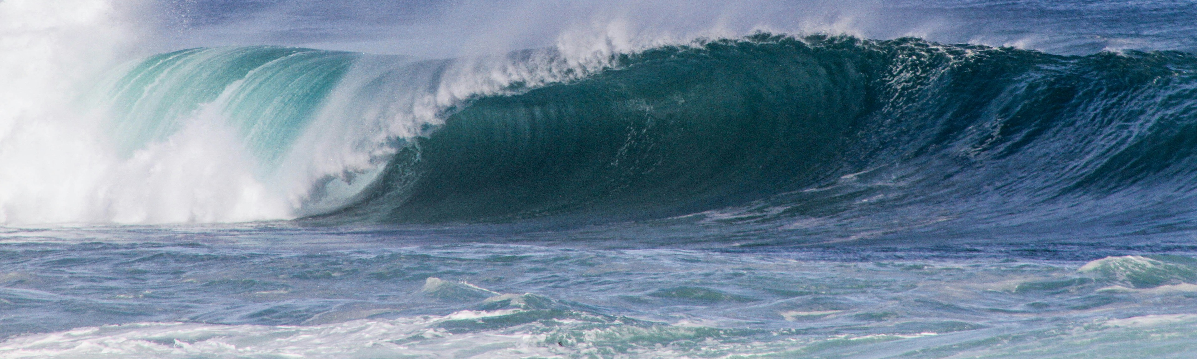 SURFRIDER