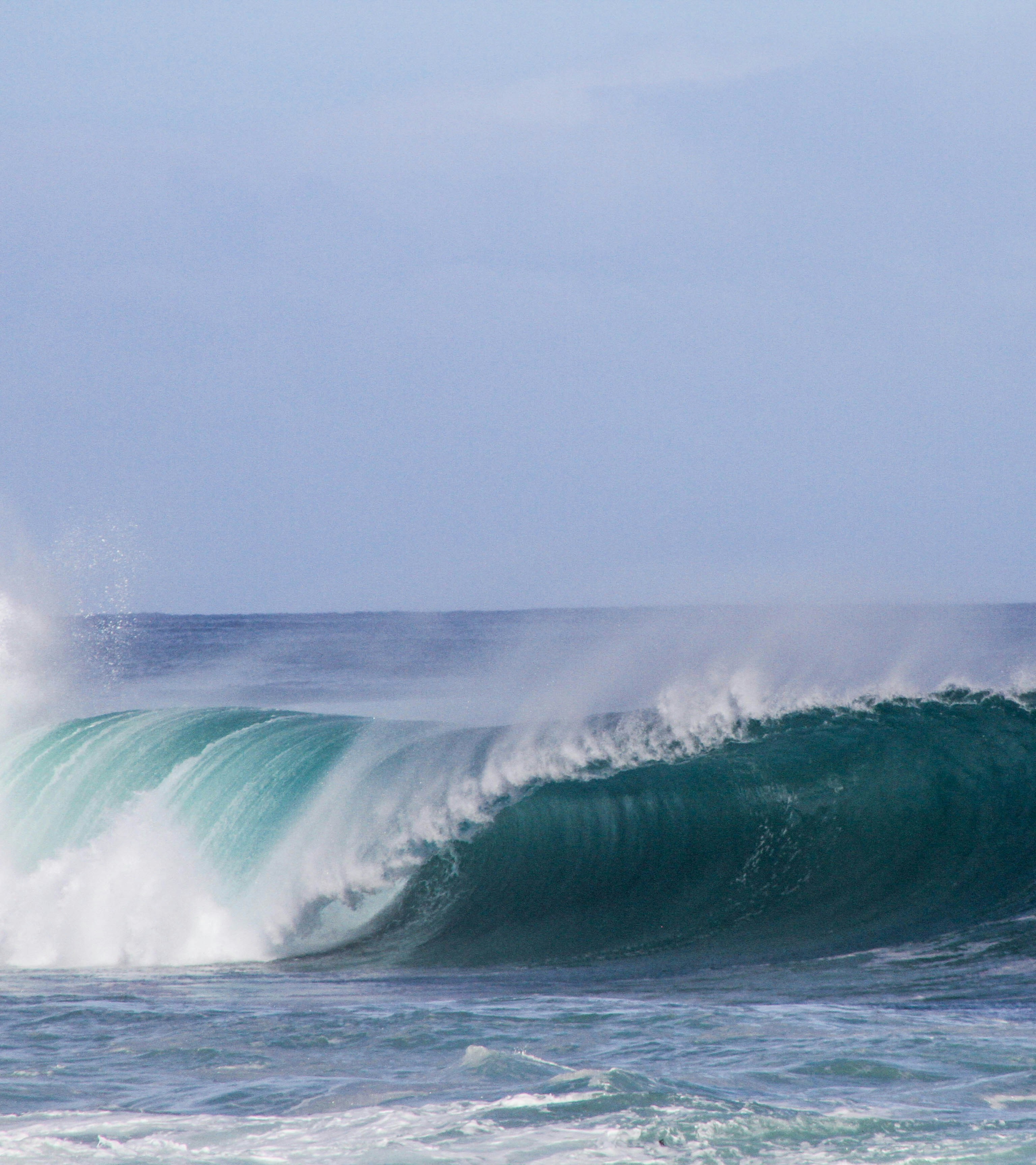SURFRIDER