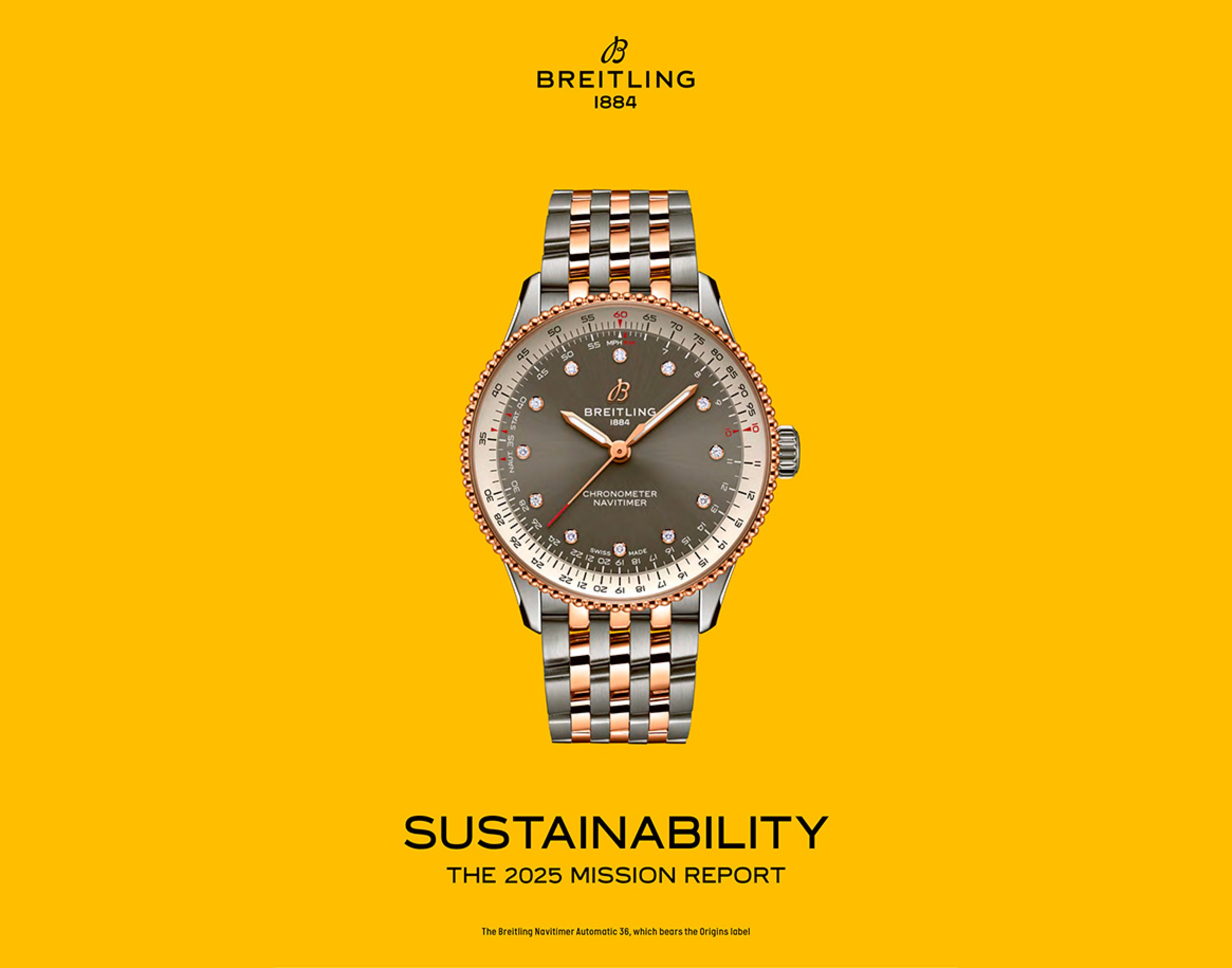 SUSTAINABILITY MISSION REPORT IMAGE