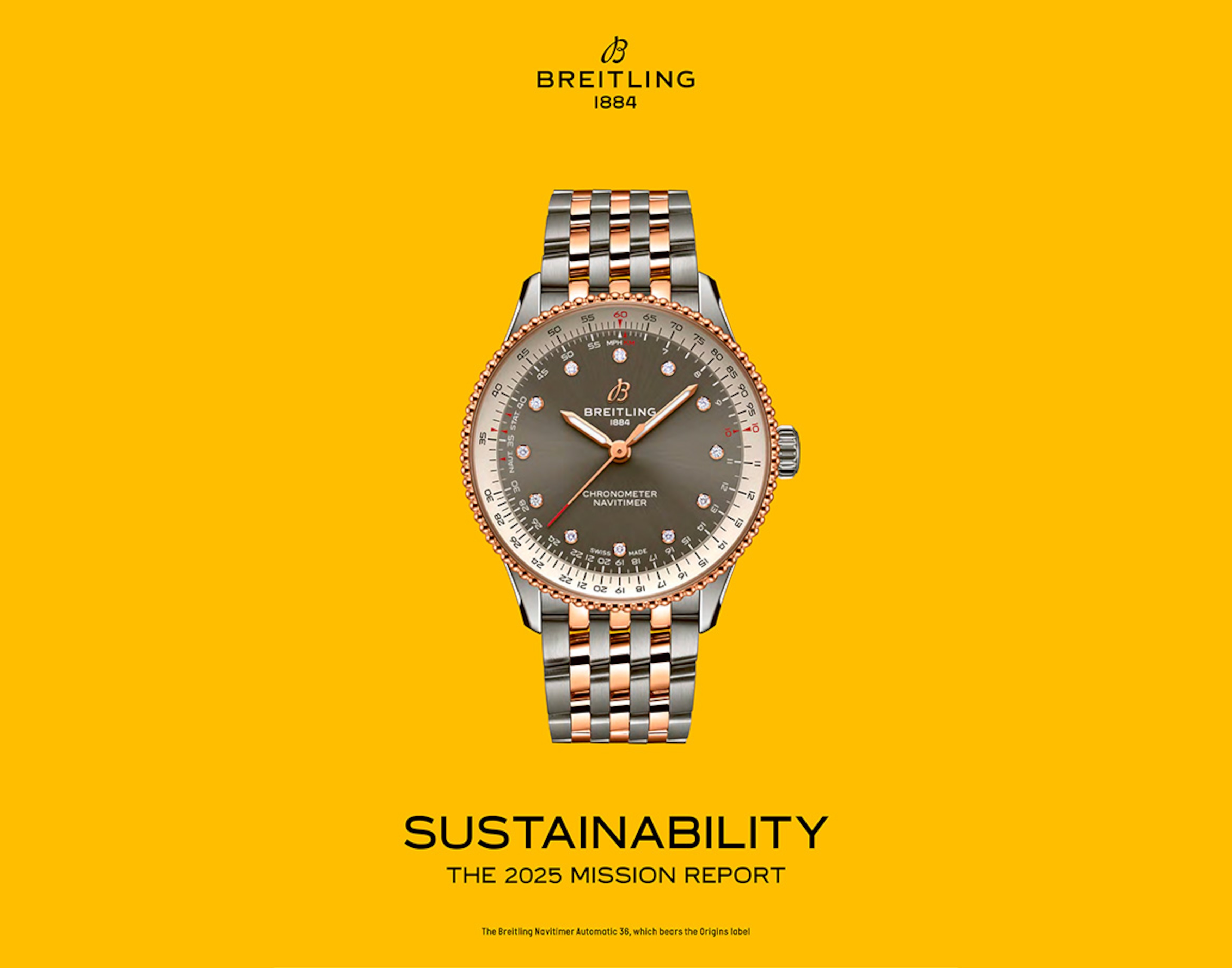 SUSTAINABILITY MISSION REPORT IMAGE