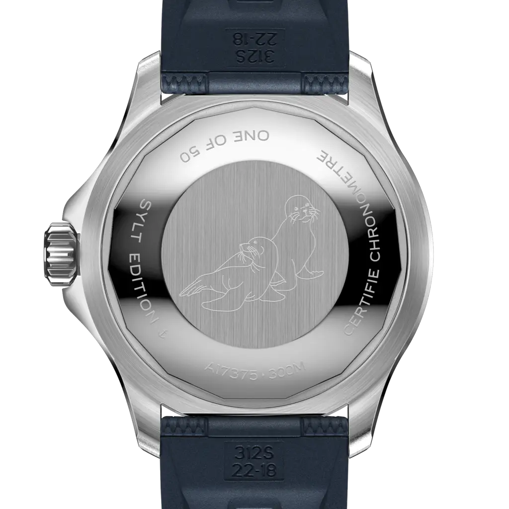 Superocean Automatic 42 Sylt Edition - A173759A1C1S1 - image 4