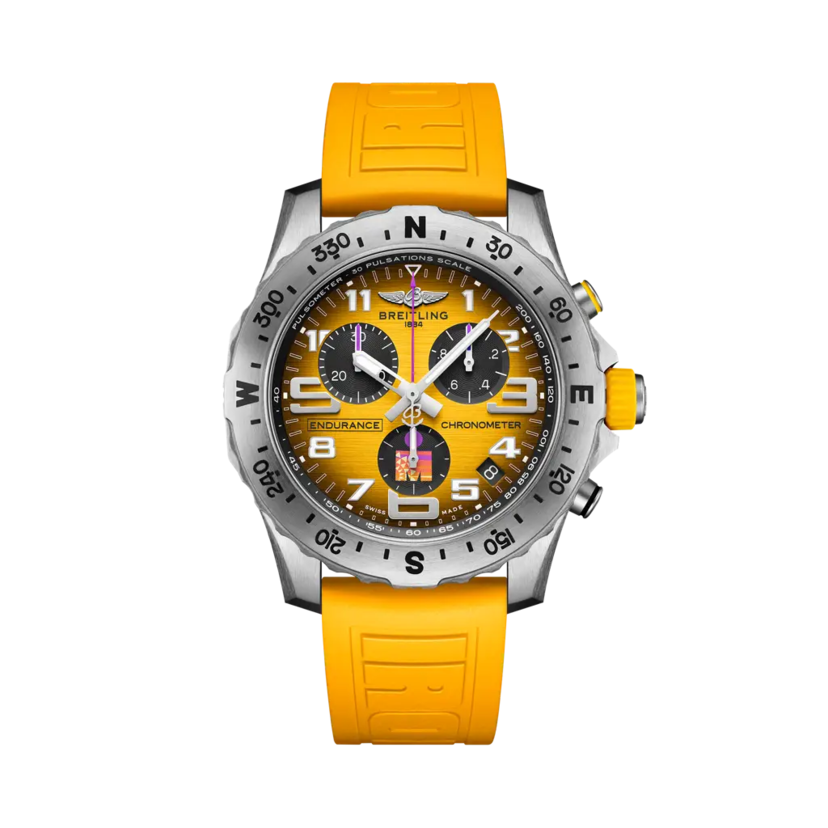 Endurance Pro IRONMAN® World Championship 2021 - E823101A1I1S1 - image 1