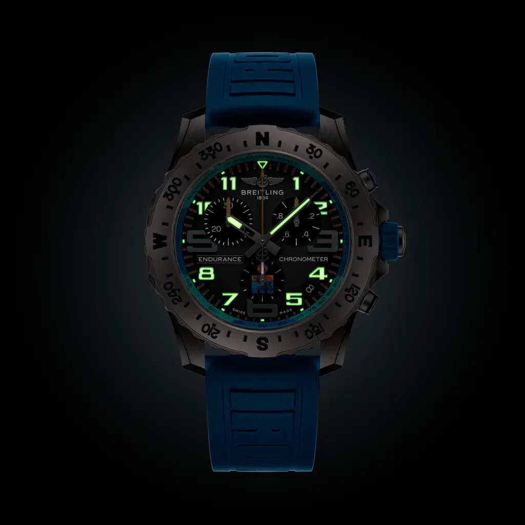 Endurance Pro IRONMAN® World Championship 2025 - E823105A1M1S1 - image 5