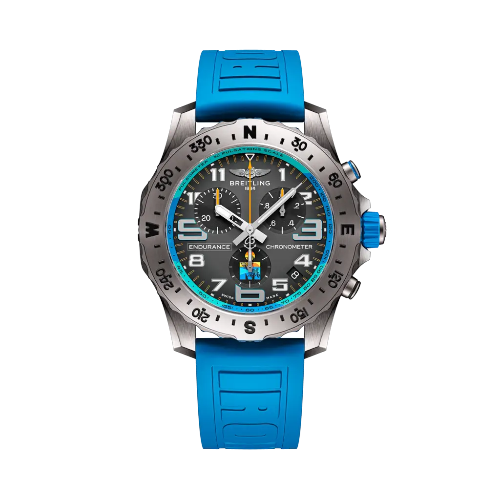 Endurance Pro IRONMAN® World Championship 2025 - E823105A1M1S1 - image 1