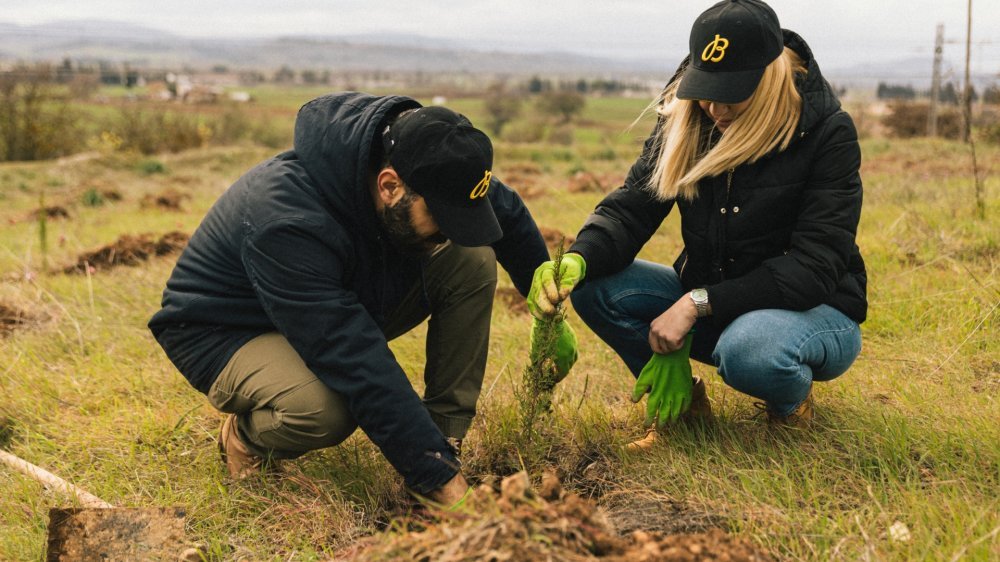 {generated} Two people plant a sapling on open grassland, wearing caps with the Breitling logo to highlight environmental commitment.