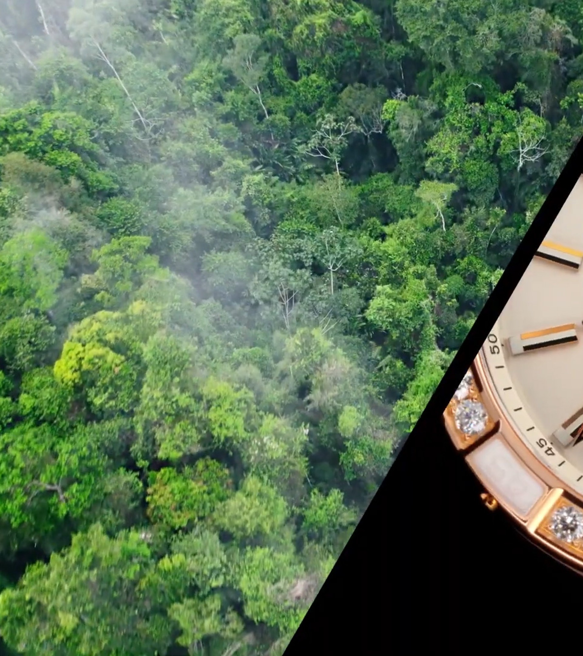 {generated} Lush forest contrasts with a close-up of the Breitling Chronomat, highlighting craftsmanship and natural inspiration.