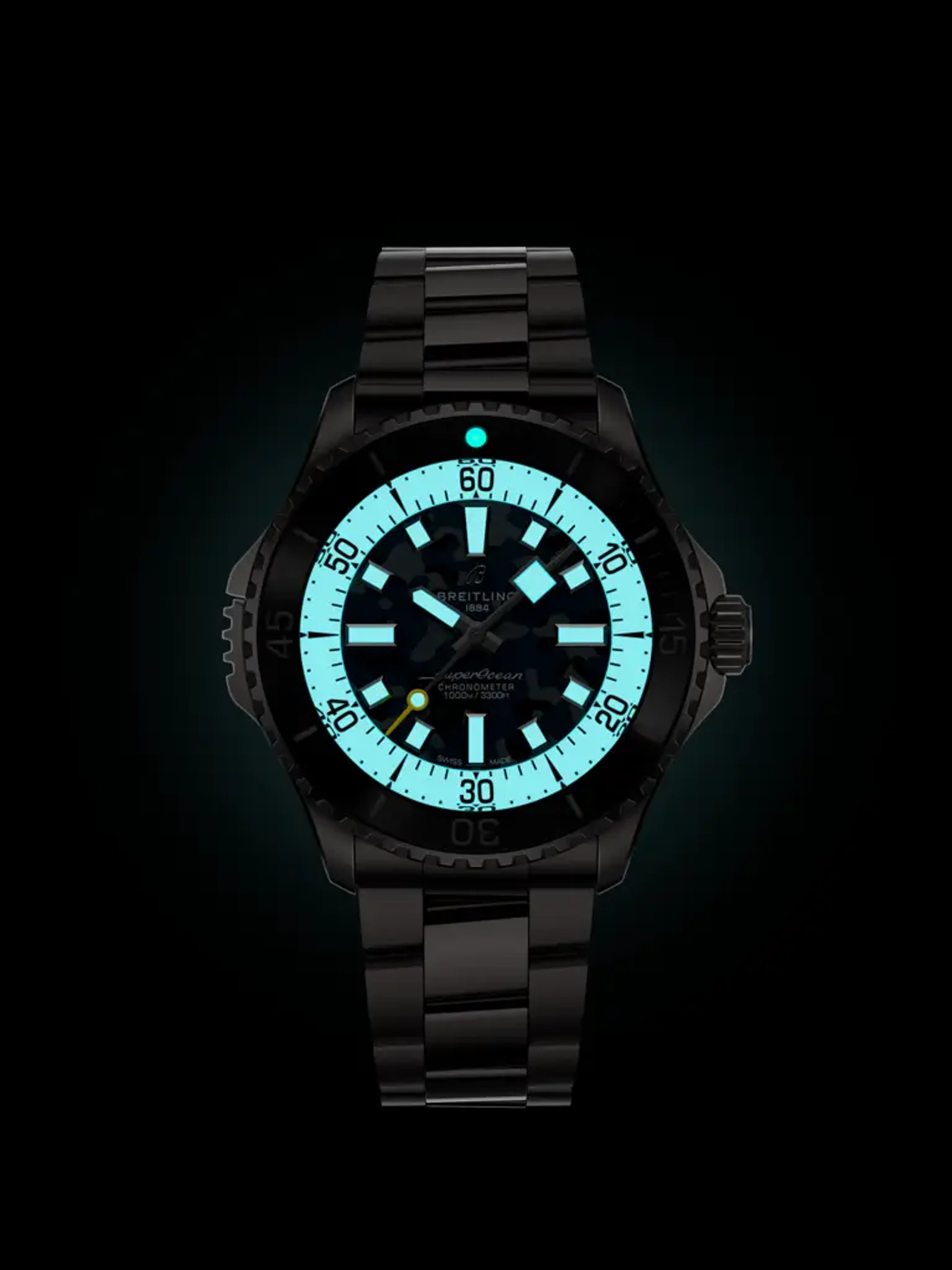 Superocean Automatic 46 Super Diver - E10379351B1E1 - image 5