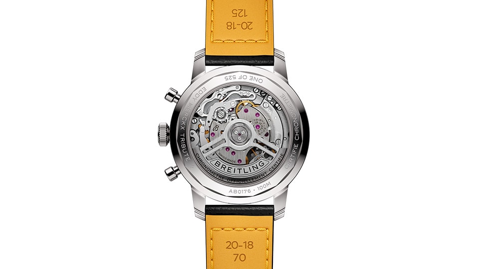 News - Top Time B31 Eddy Merckx - Image Carousel - JP