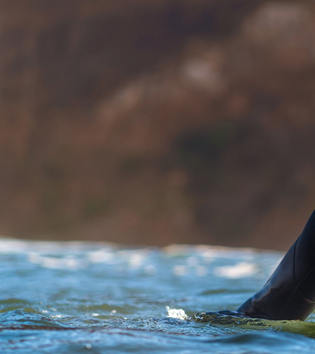 {generated} A wetsuit‑clad surfer stands in calm coastal water with sunlight on the waves, framed by a blurred cliff backdrop