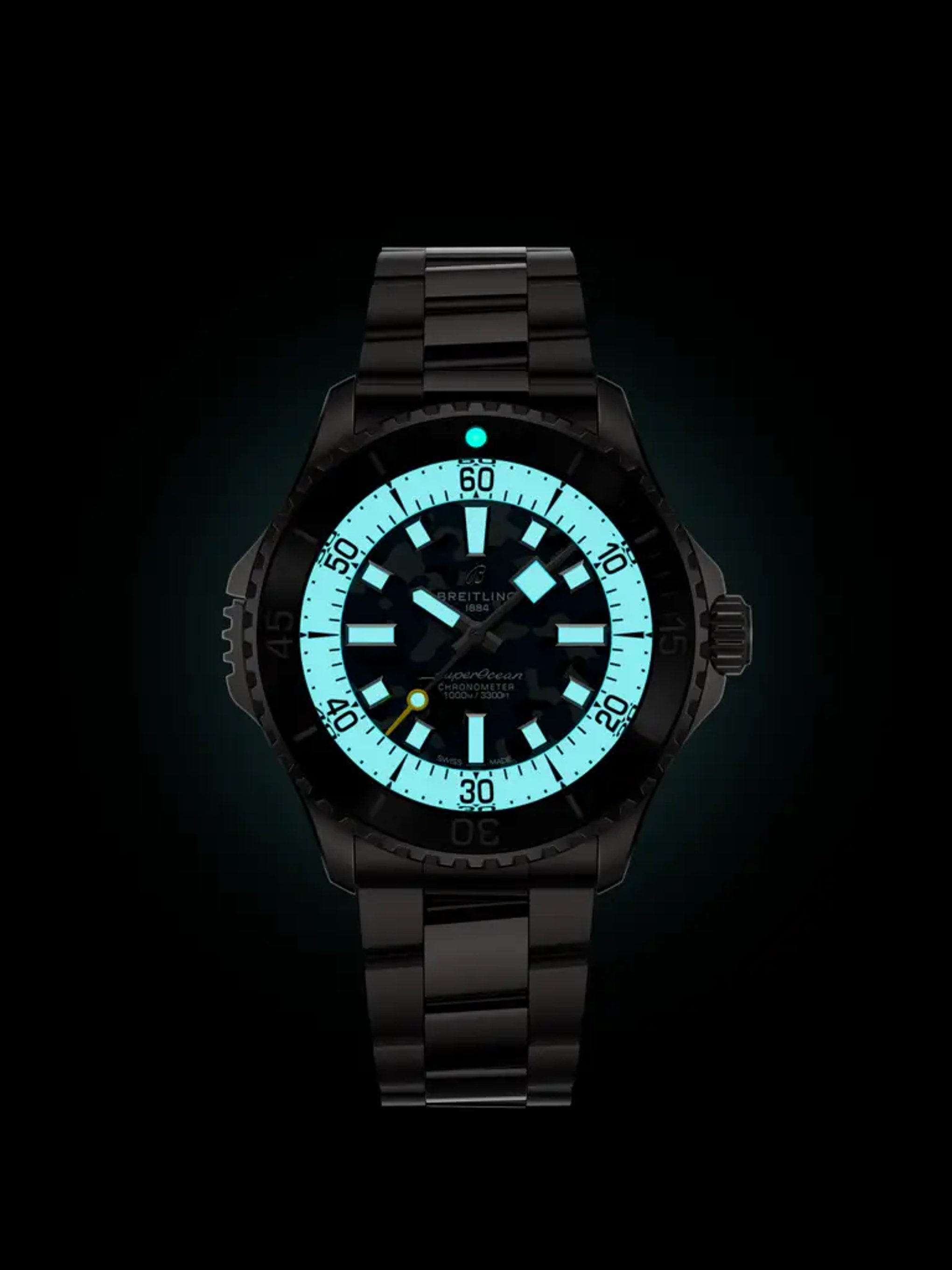 Superocean Automatic 46 Super Diver - E10379351B1E1 - image 5