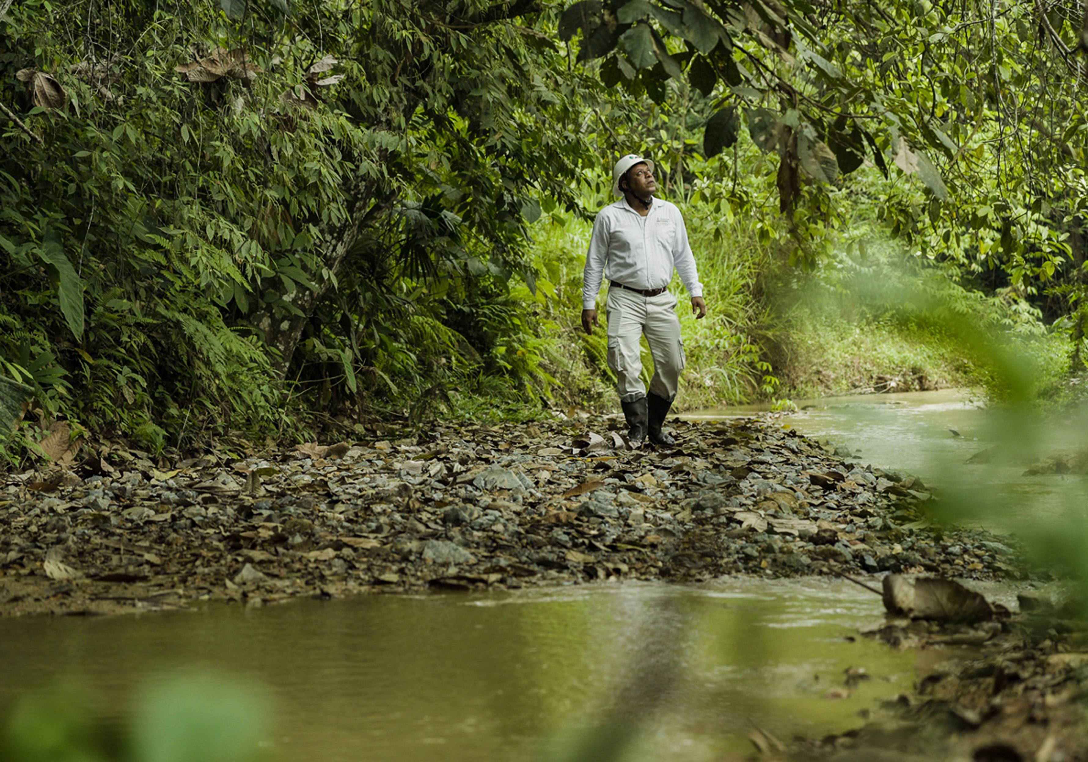 {generated} Homme en tenue d’extérieur marchant près d’un ruisseau forestier, entouré d’un dense feuillage vert dans un cadre serein