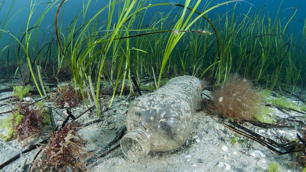 Breitling and Ocean Conservancy