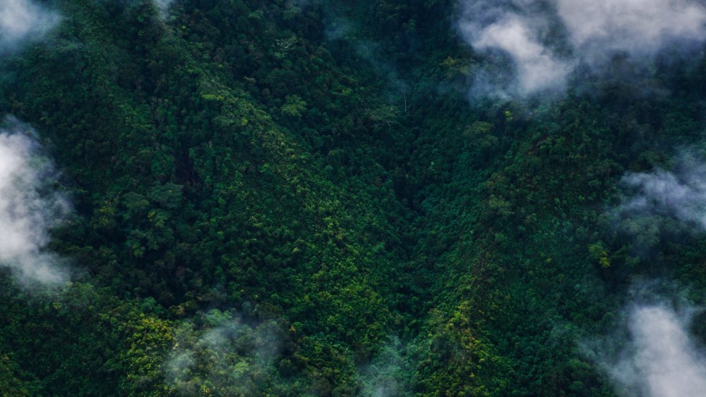Breitling publica su segundo Informe anual sobre la misión de sostenibilidad y anuncia su #SQUADONAMISSION to do better