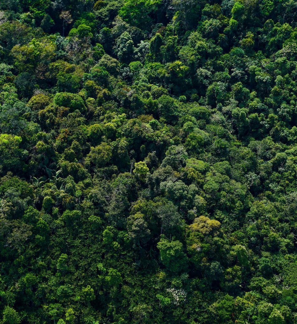 Le rapport de mission sur le développement durable 2023