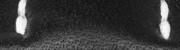 Black: Calfskin leather