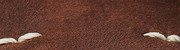 Calfskin leather